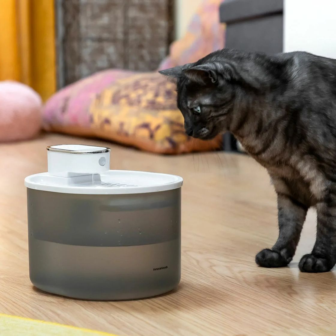 Product Fonte de Água para Gatos com Sensor