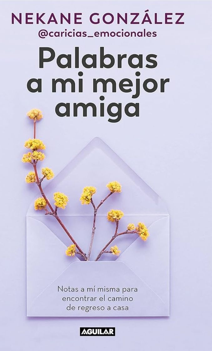 Libro Palabras a mi mejor amiga