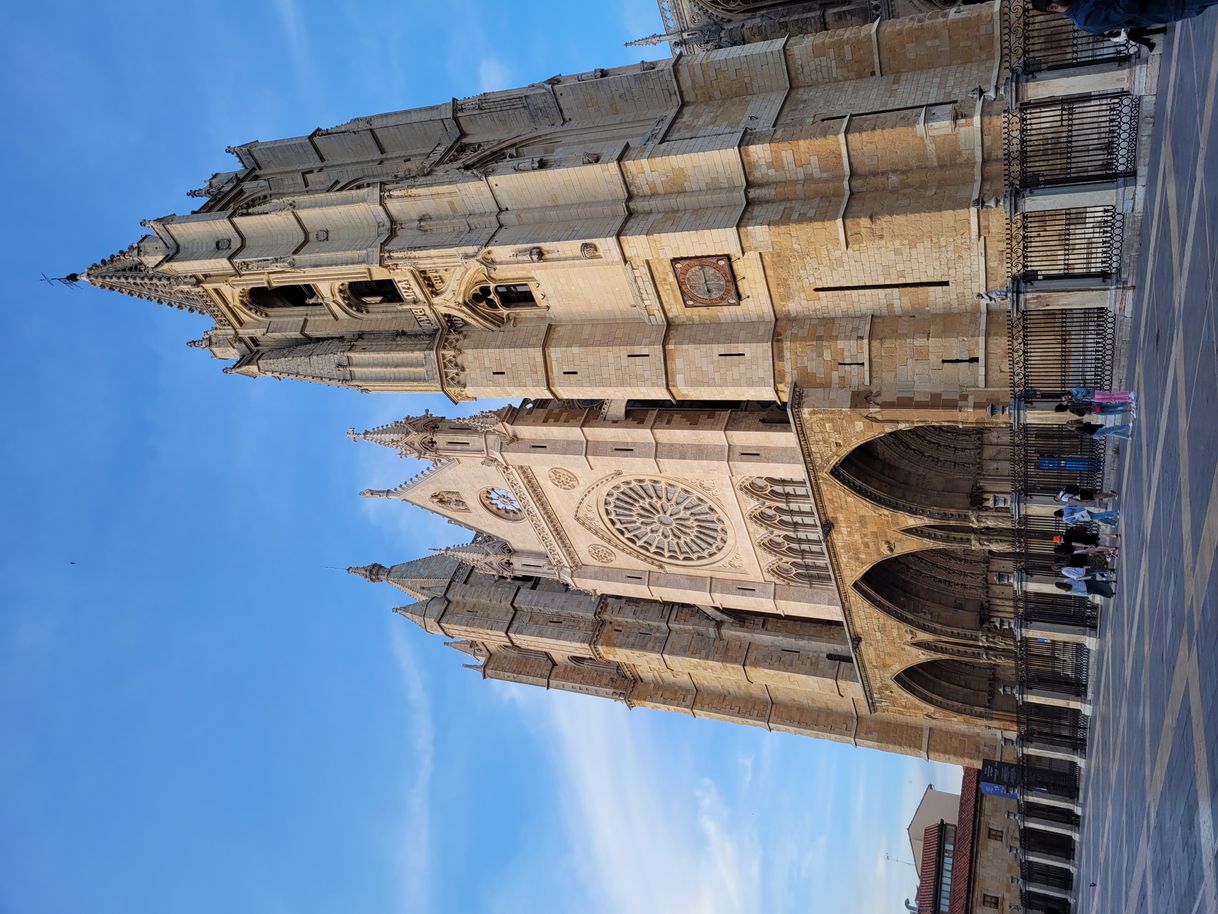 Lugar Catedral de León