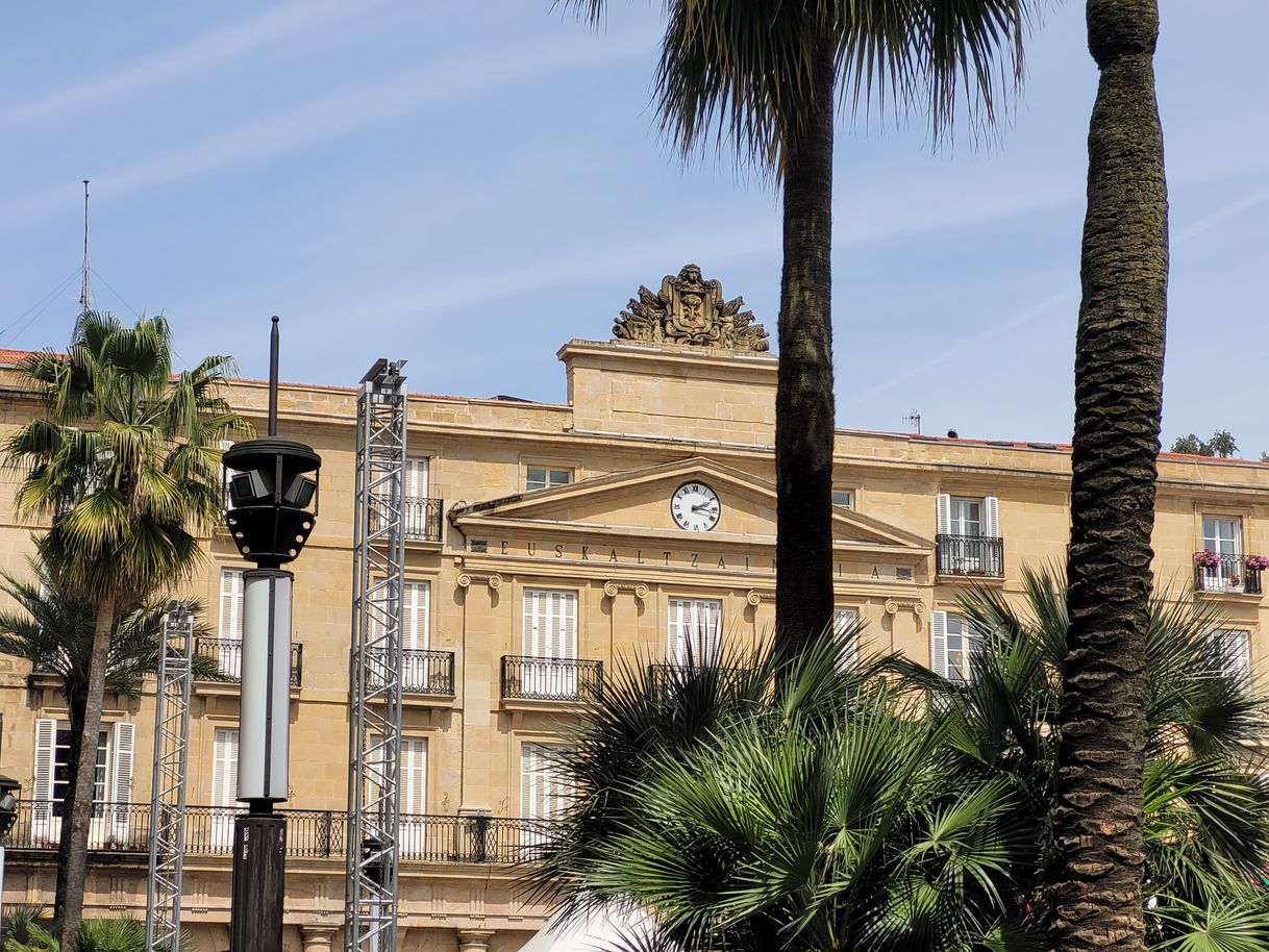 Place Plaza Nueva