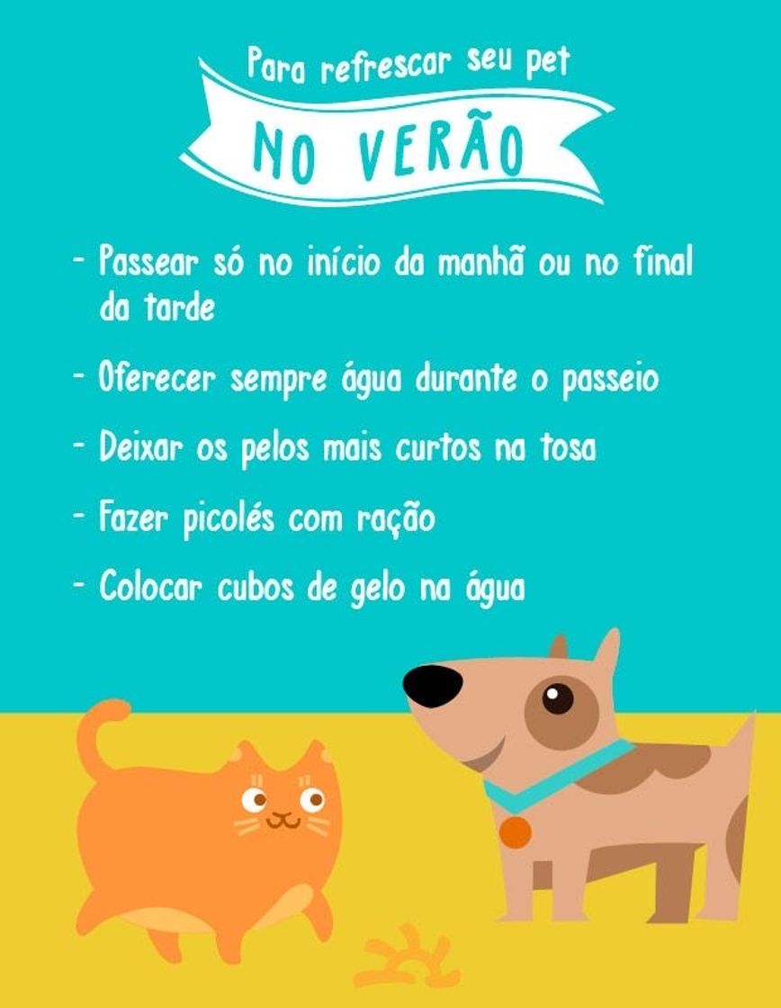 Fashion Vamos para as primeiras dicas de Veterinária!!