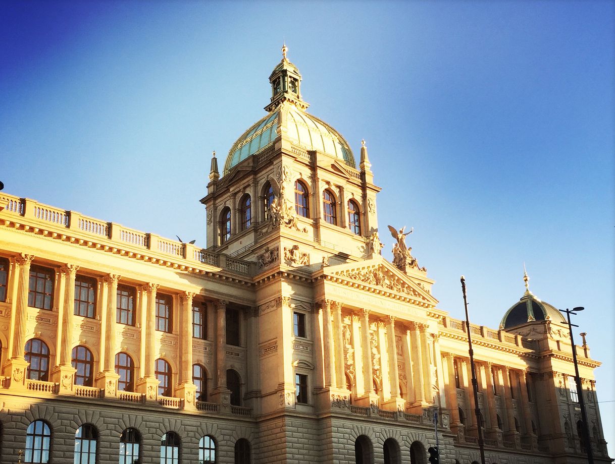 Places National Museum (Prague) Entomology Dept