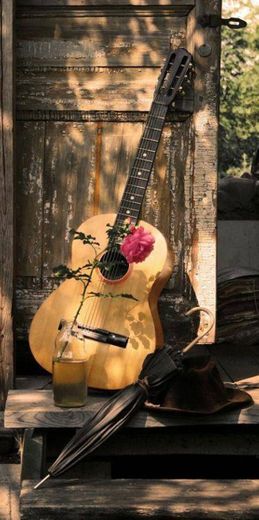 Rosas e violão 🌹