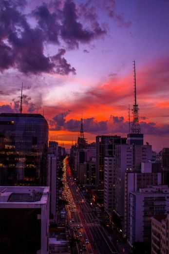 Sampa - Brasil 🤩