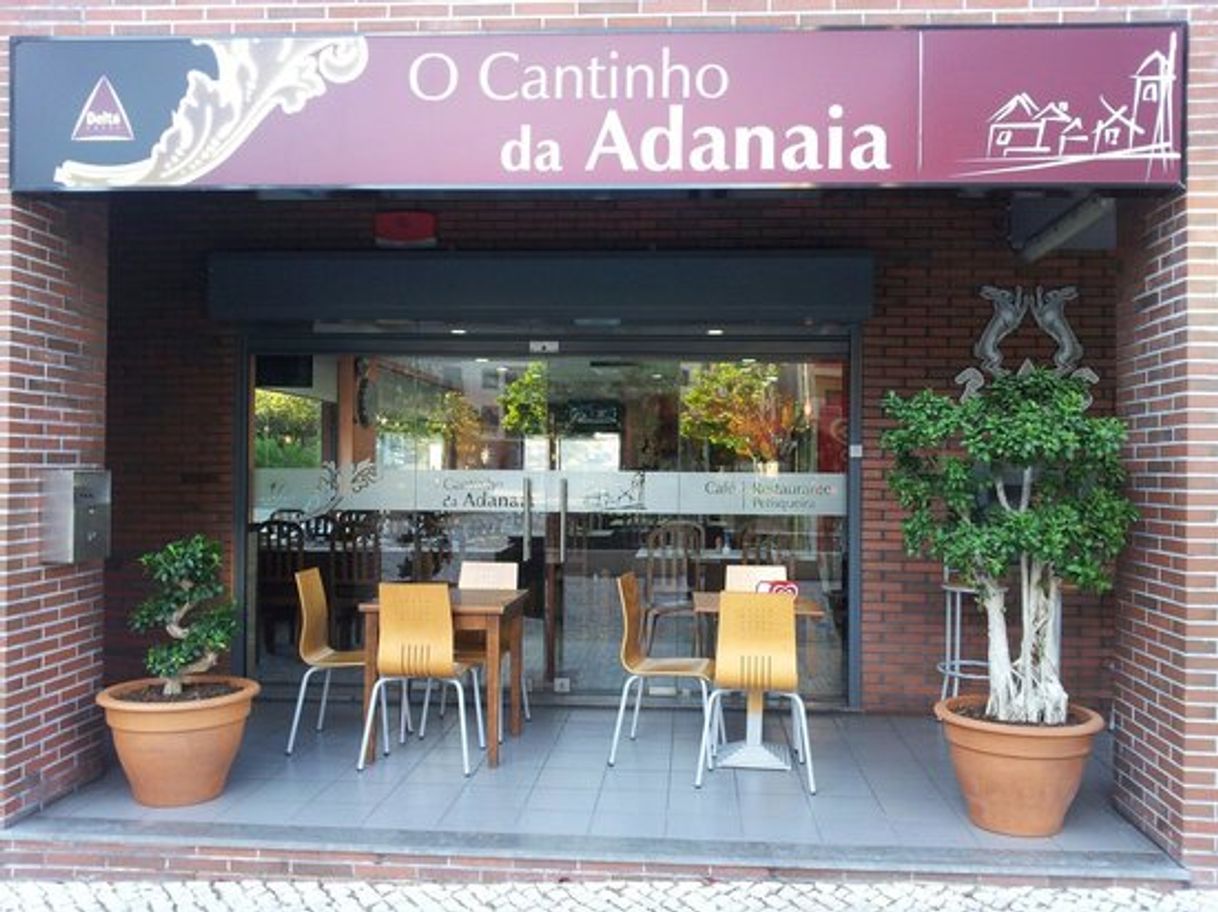 Cantinho da adanaia