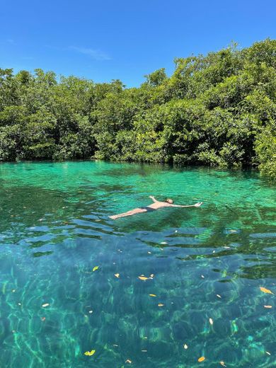 Cenote Manatí