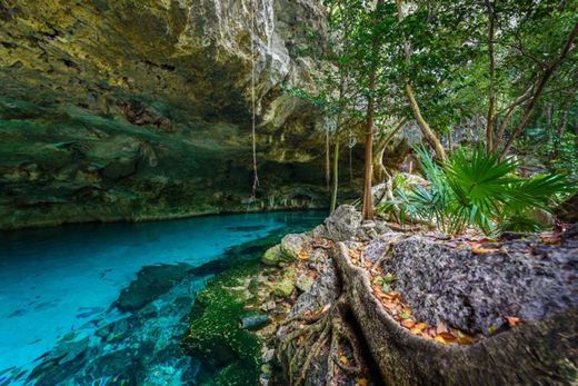 Cenote Dos Ojos