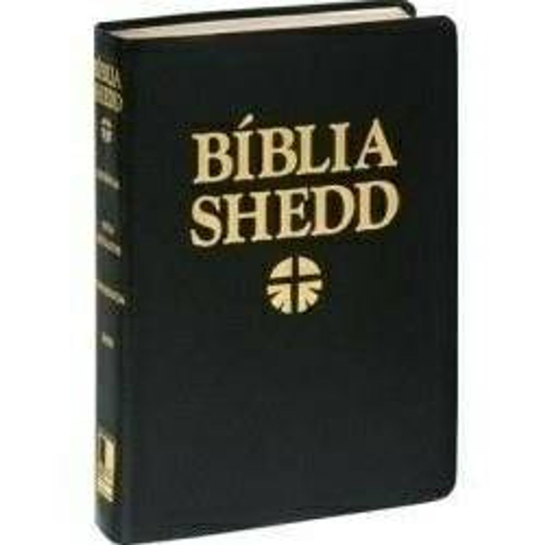 Moda Biblia shedd de estudo 