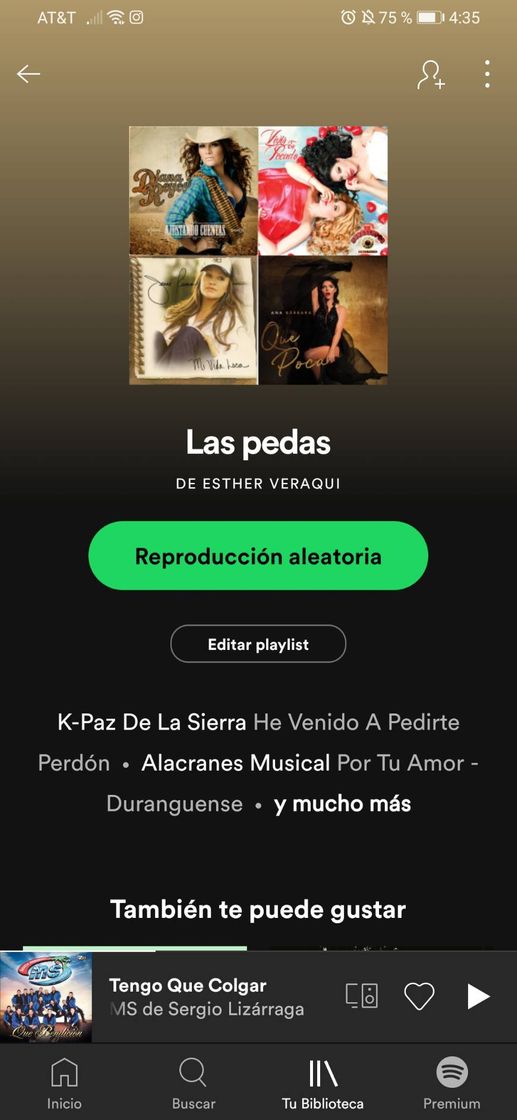 Canción Playlist 
