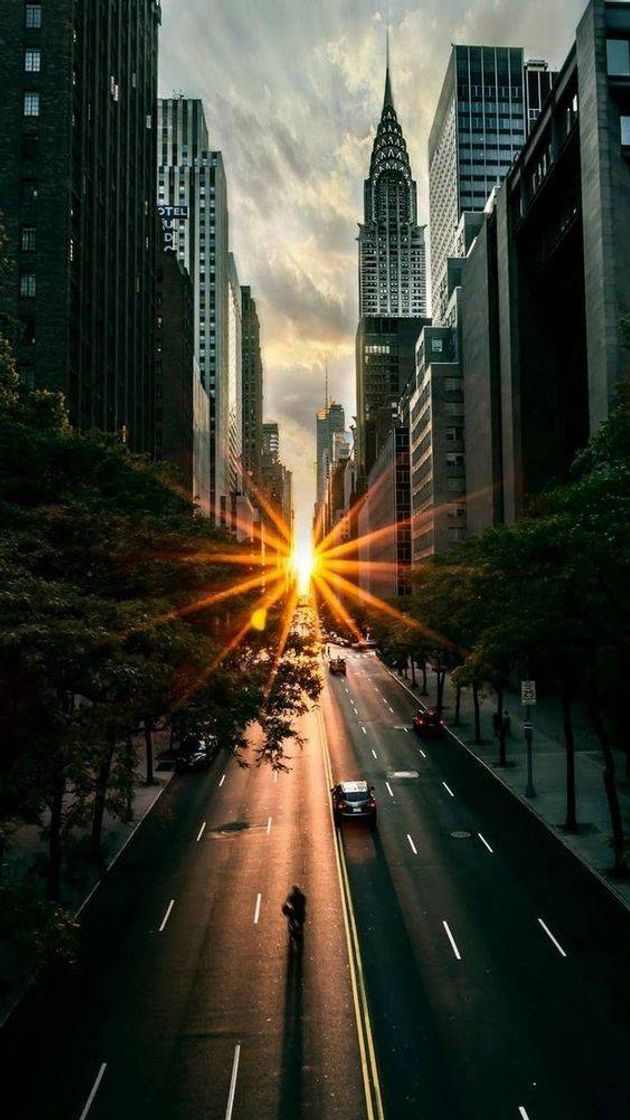 Social Paisagens