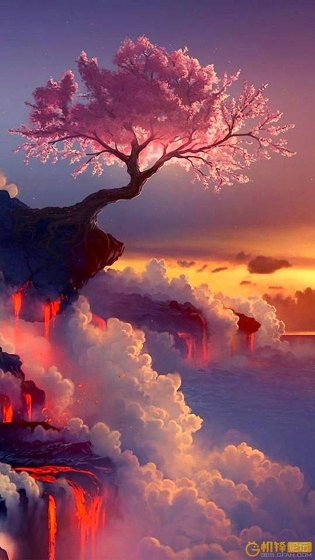 Social Paisagens