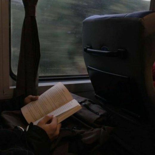 reading while traveling