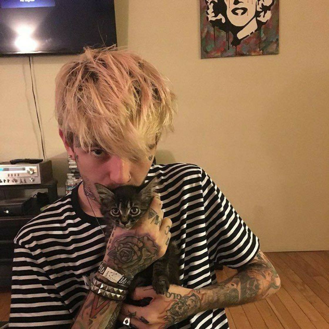 Moda Lil peep cat