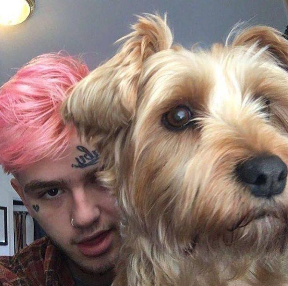 Moda Lil peep it dog