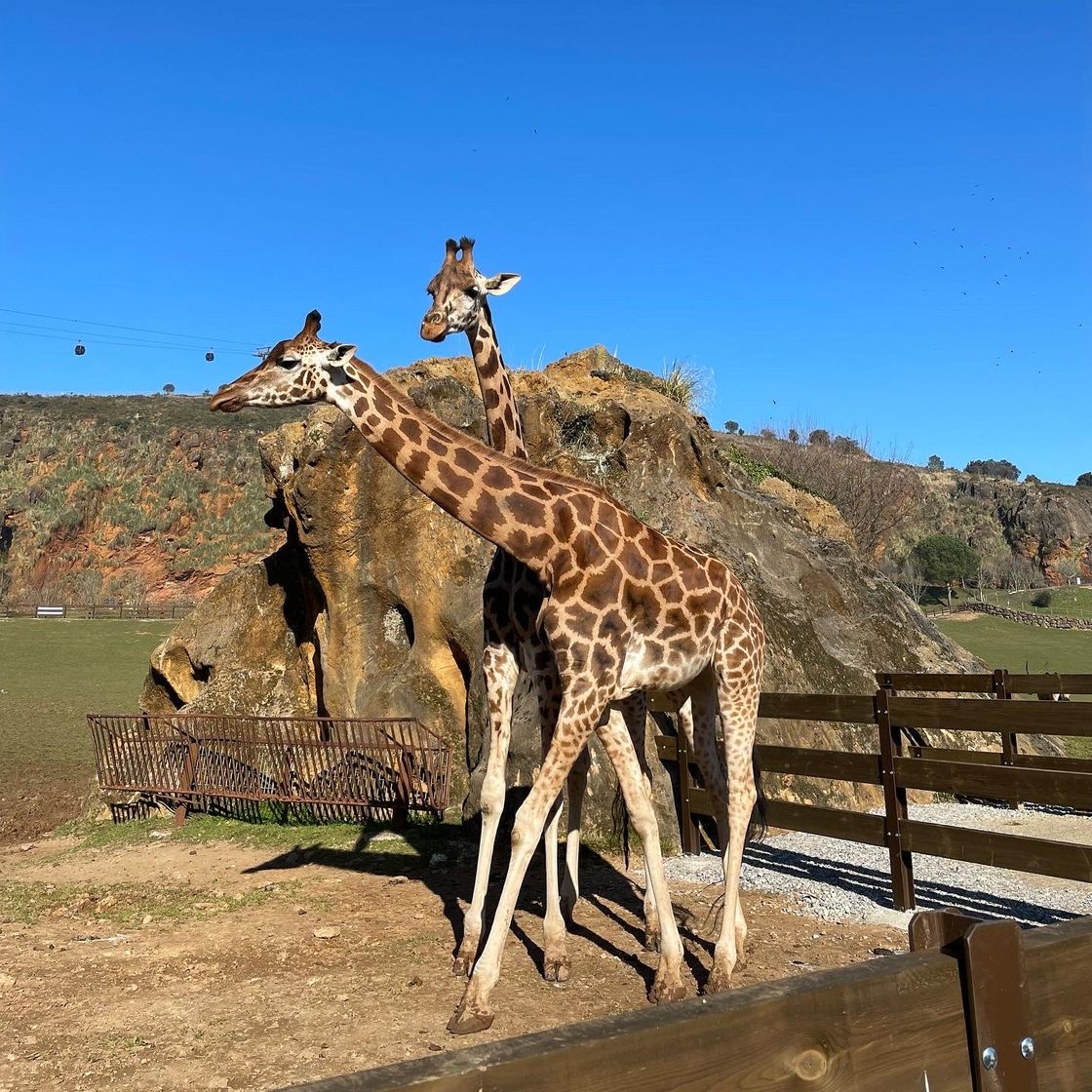 Lugar Parque de la Naturaleza de Cabárceno