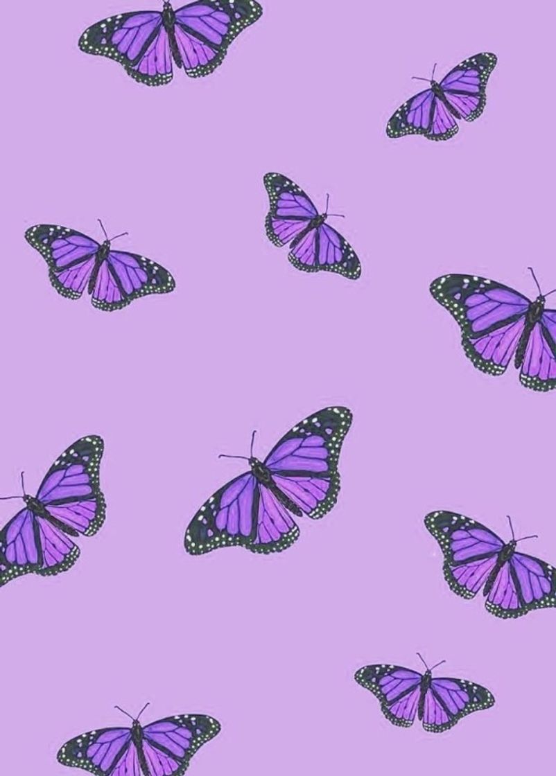 Fashion wallpaper borboleta 🦋 