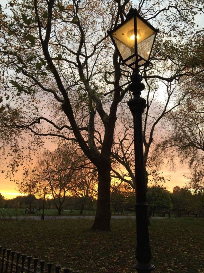Place Green Park