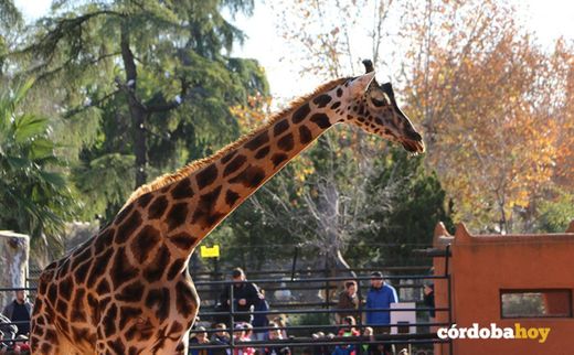Centro de Conservación Zoo Córdoba