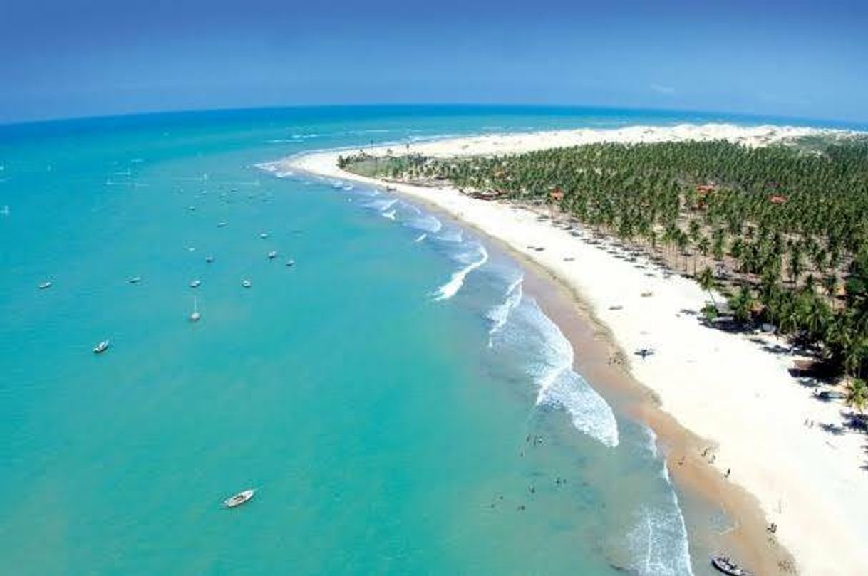 Place Beach Of The Icarai De Amontada-CE