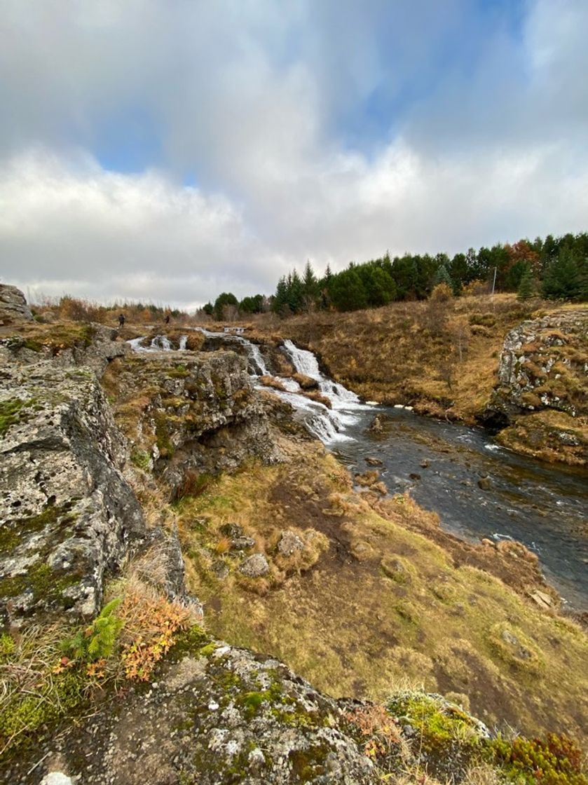 Place Elliðaárdalur