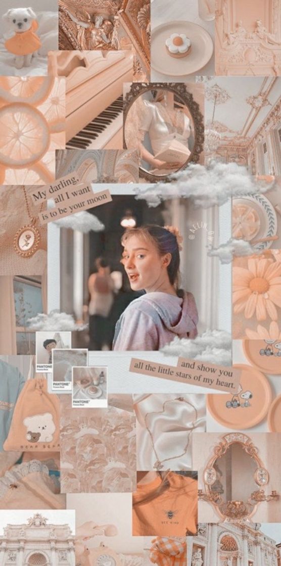 Social Wallpapers 🐝