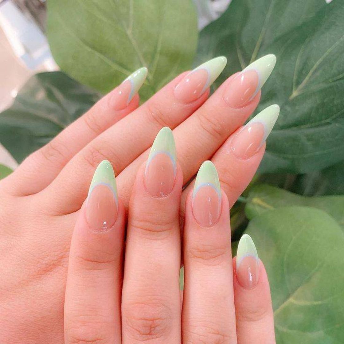 Fashion Green mint 💚