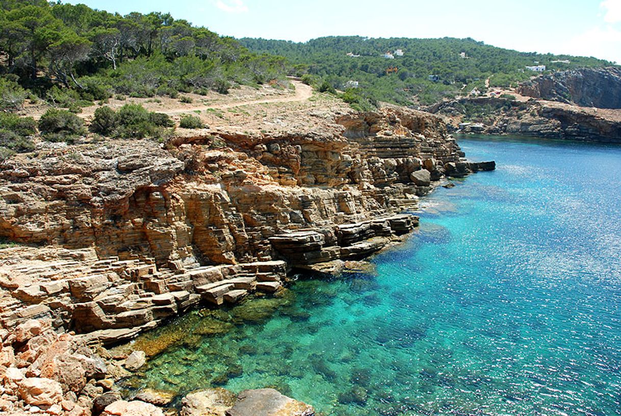 Lugar Punta Galera