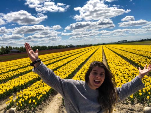 Conheça essa país Maravilhoso! 8 fotos da Holanda 🇳🇱 ❤️
