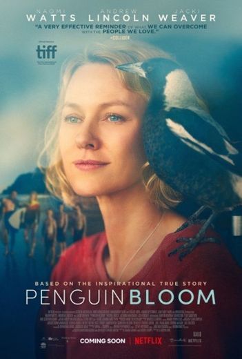 Penguin Bloom - filme que você precisa assistir 