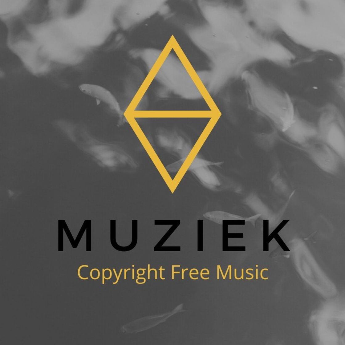 Moda Música Copyright Free 🔝🎵 