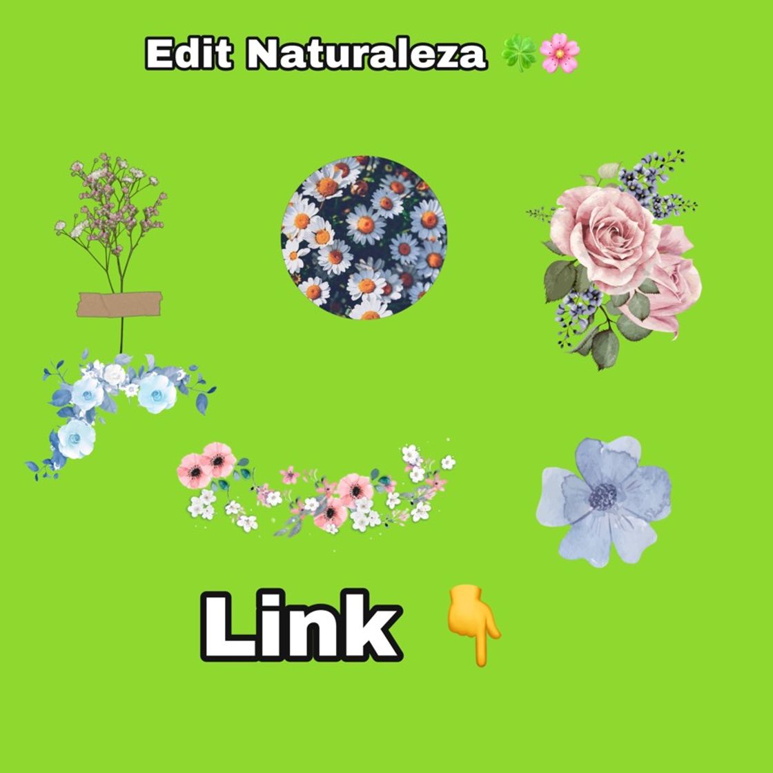 Fashion Edit Naturaleza 🍀🌸🌺