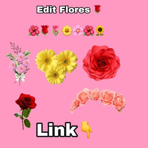 Edit Flores 🌸🌹🌺🌼