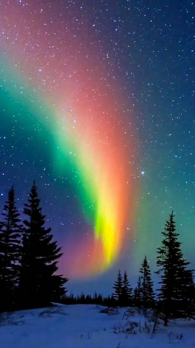 Social 🏳️‍🌈💭