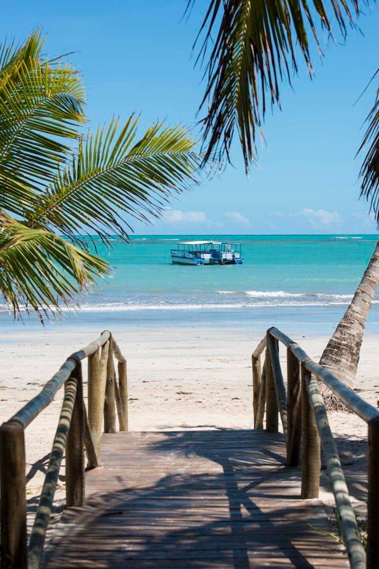 Social O melhor lugar ❤️