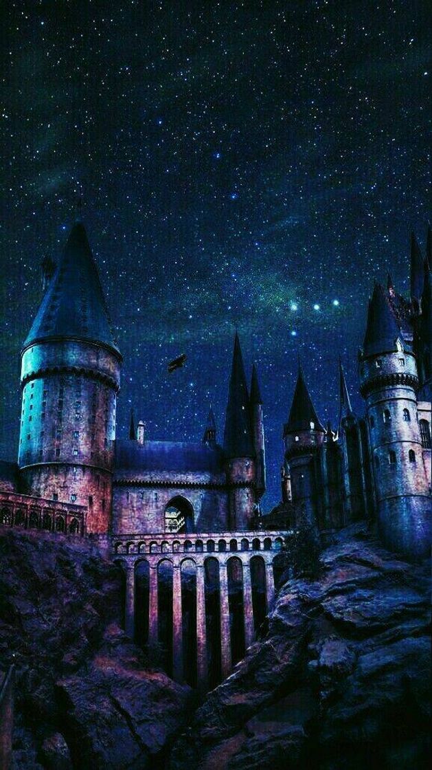 Moda Hogwarts 🦉