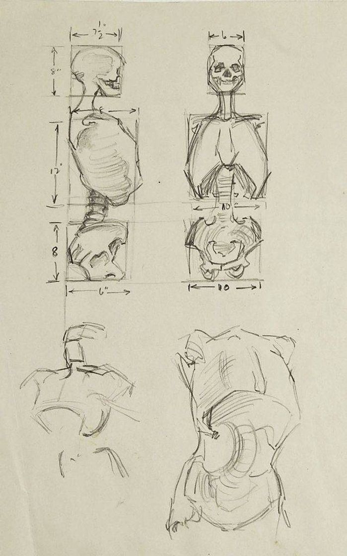 Moda Anatomia