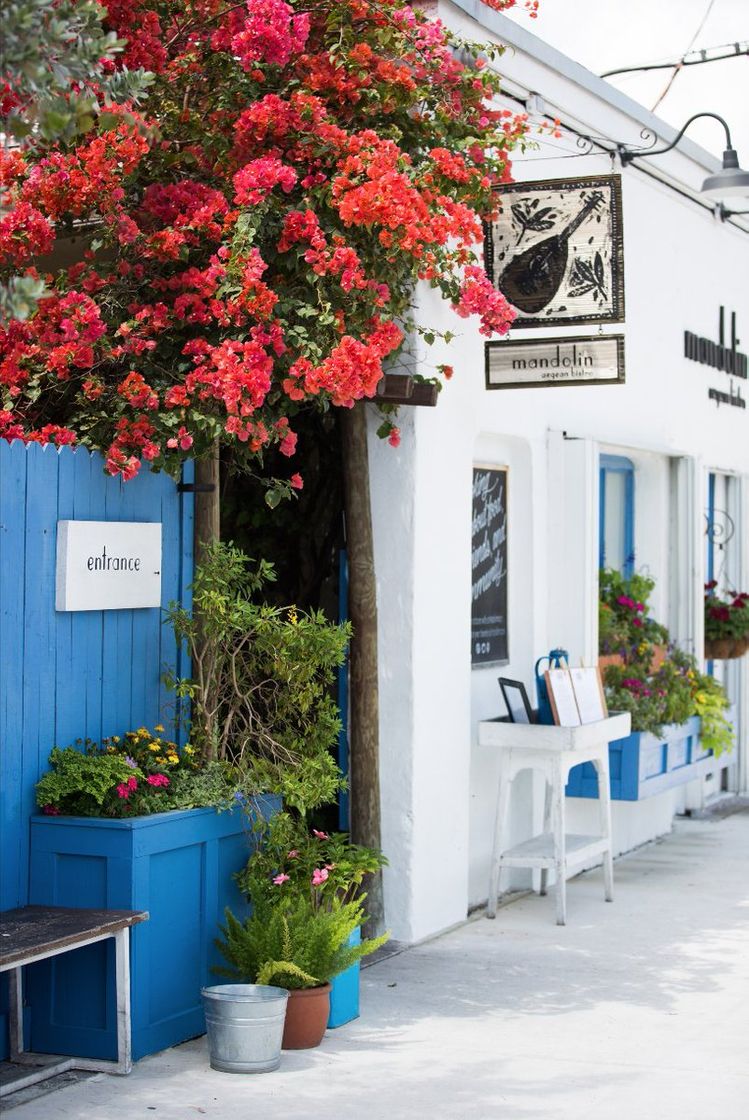 Restaurants Mandolin Aegean Bistro