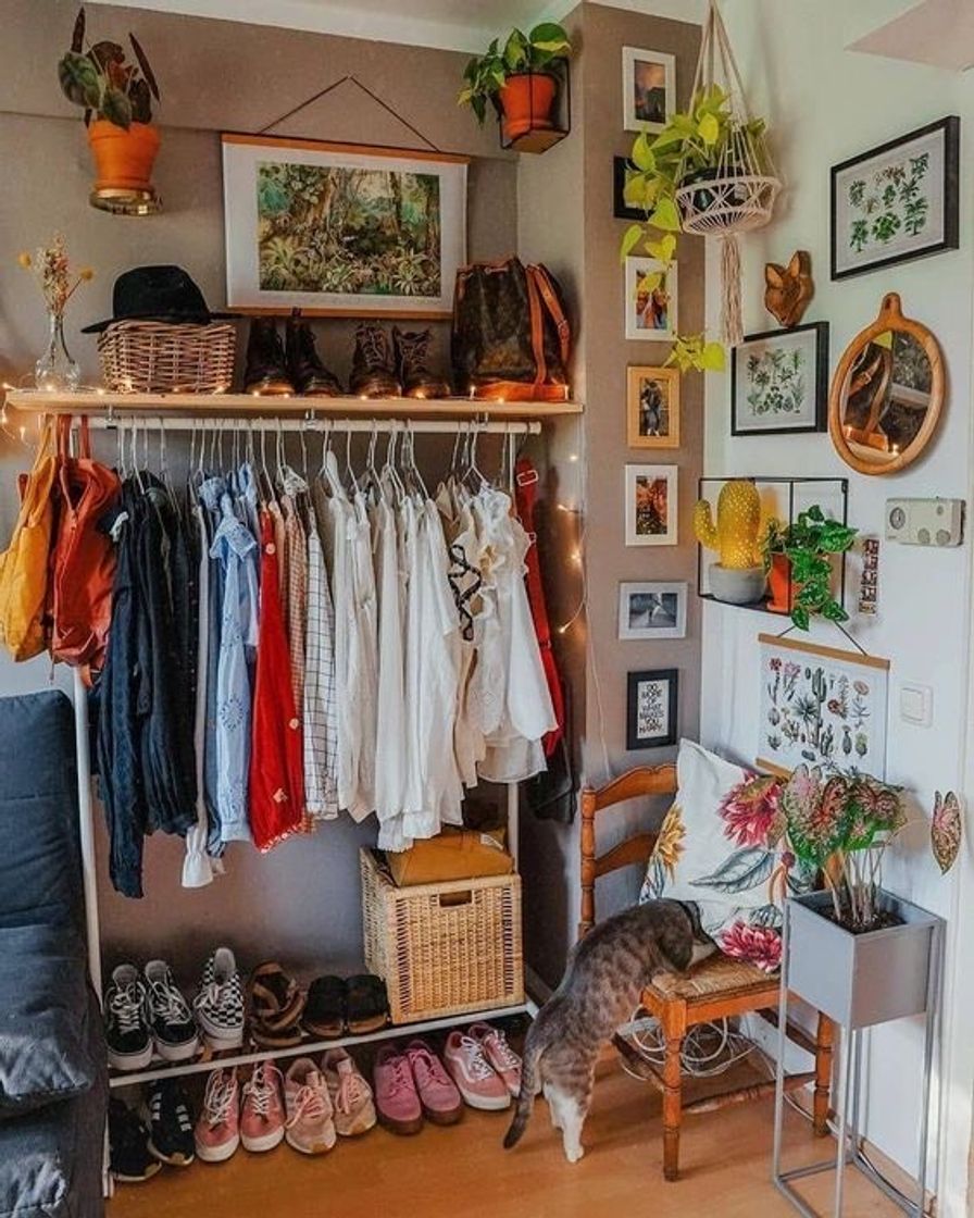 Social guarda roupa aberto