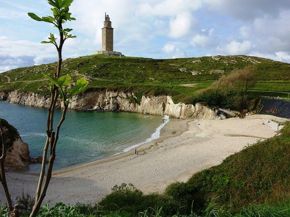 Lugar Playa de las Lapas