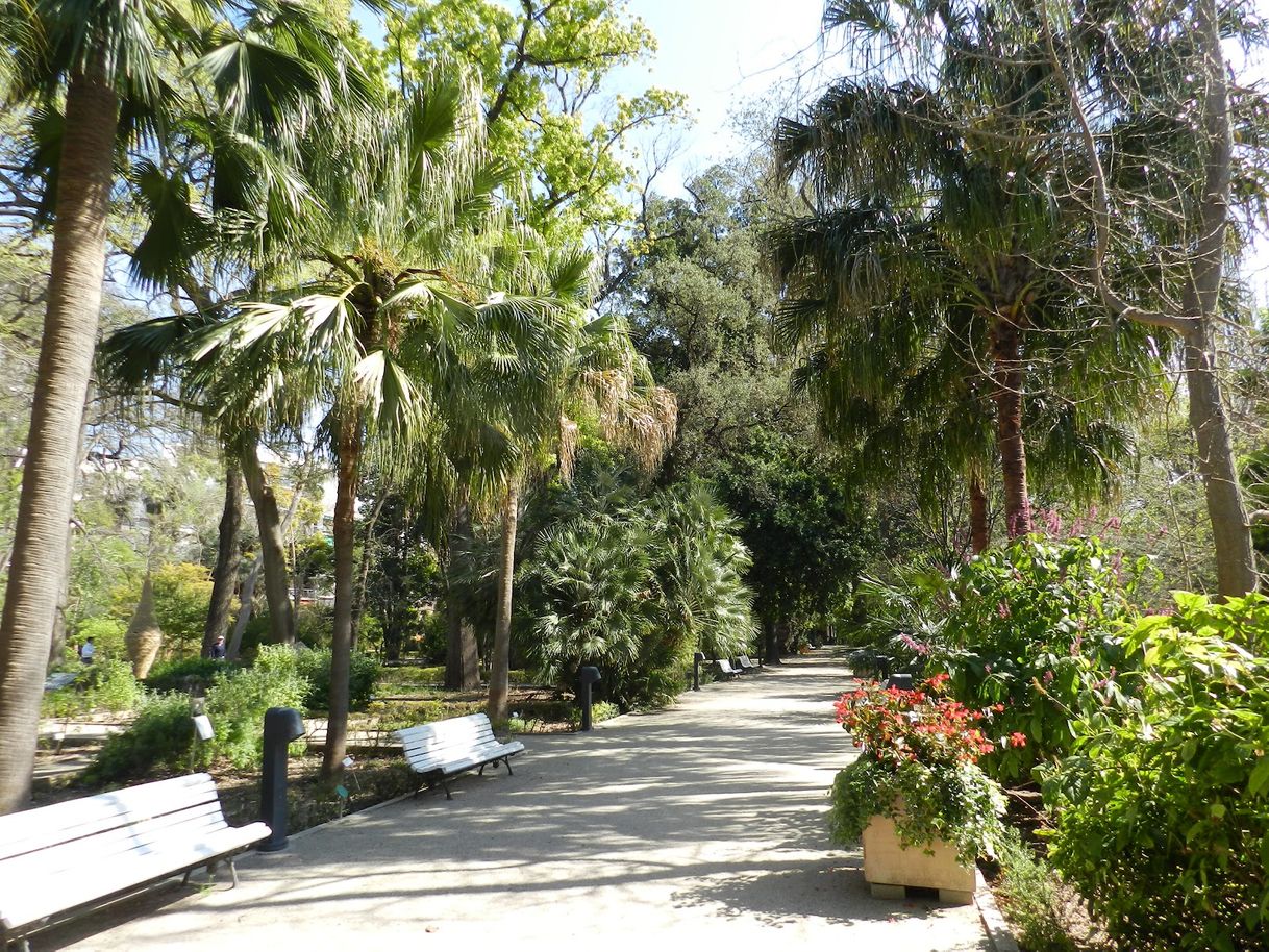 Lugar Jardin Botánico