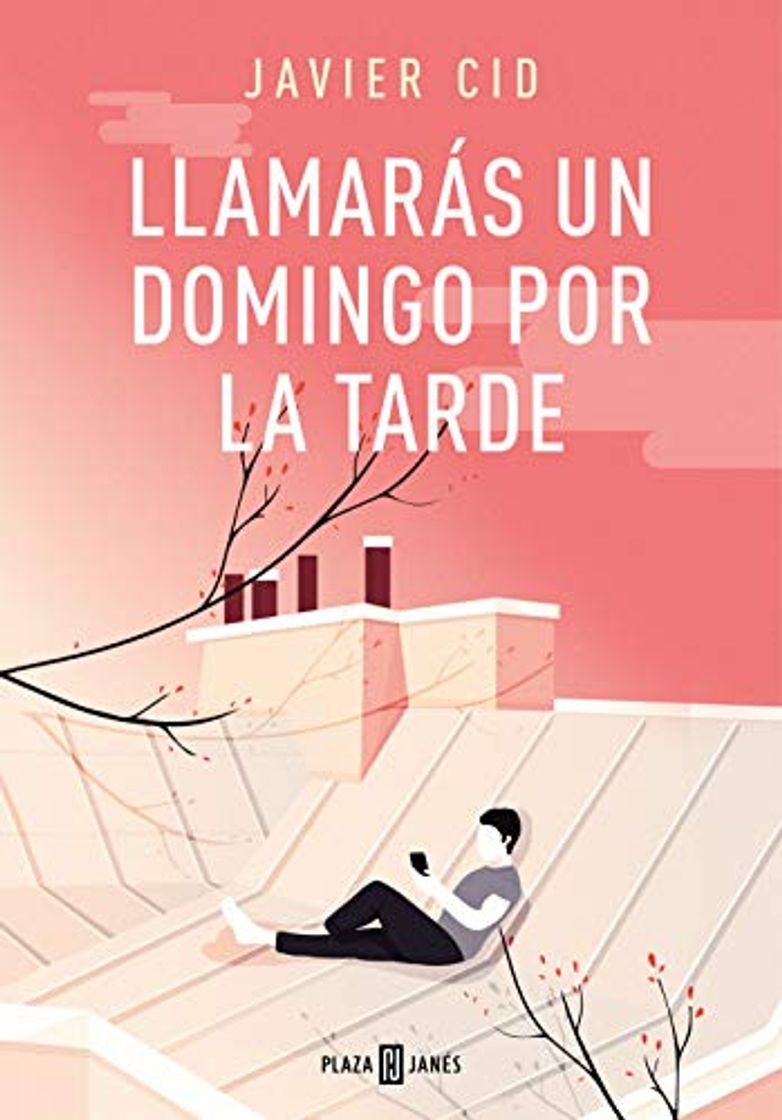 Libro Llamarás un domingo por la tarde