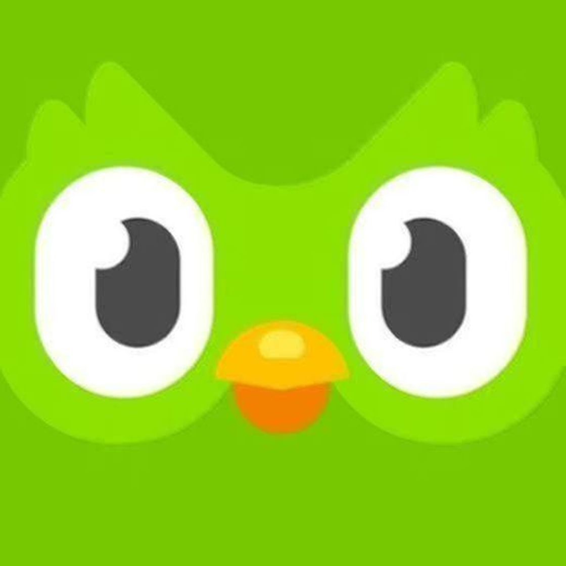 App Duolingo