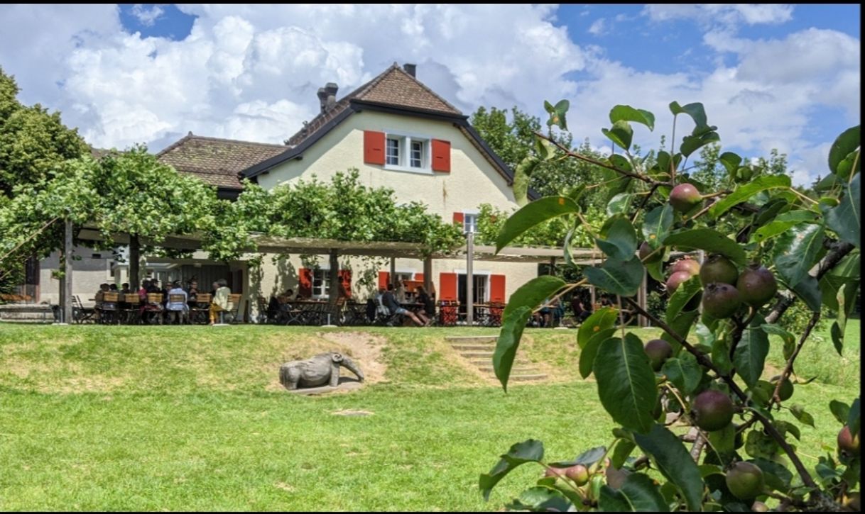 Restaurants Chalet des enfants, auberge du