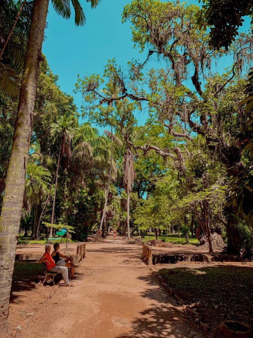 Place Jardim Botânico