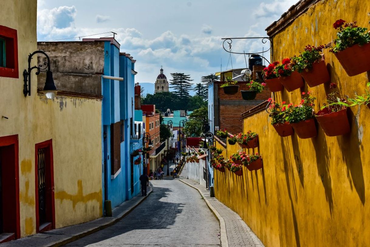 Restaurants ATLIXCO DE LAS FLORES