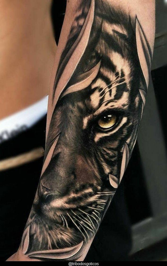 Moda Tatuagem masculina (tigre)