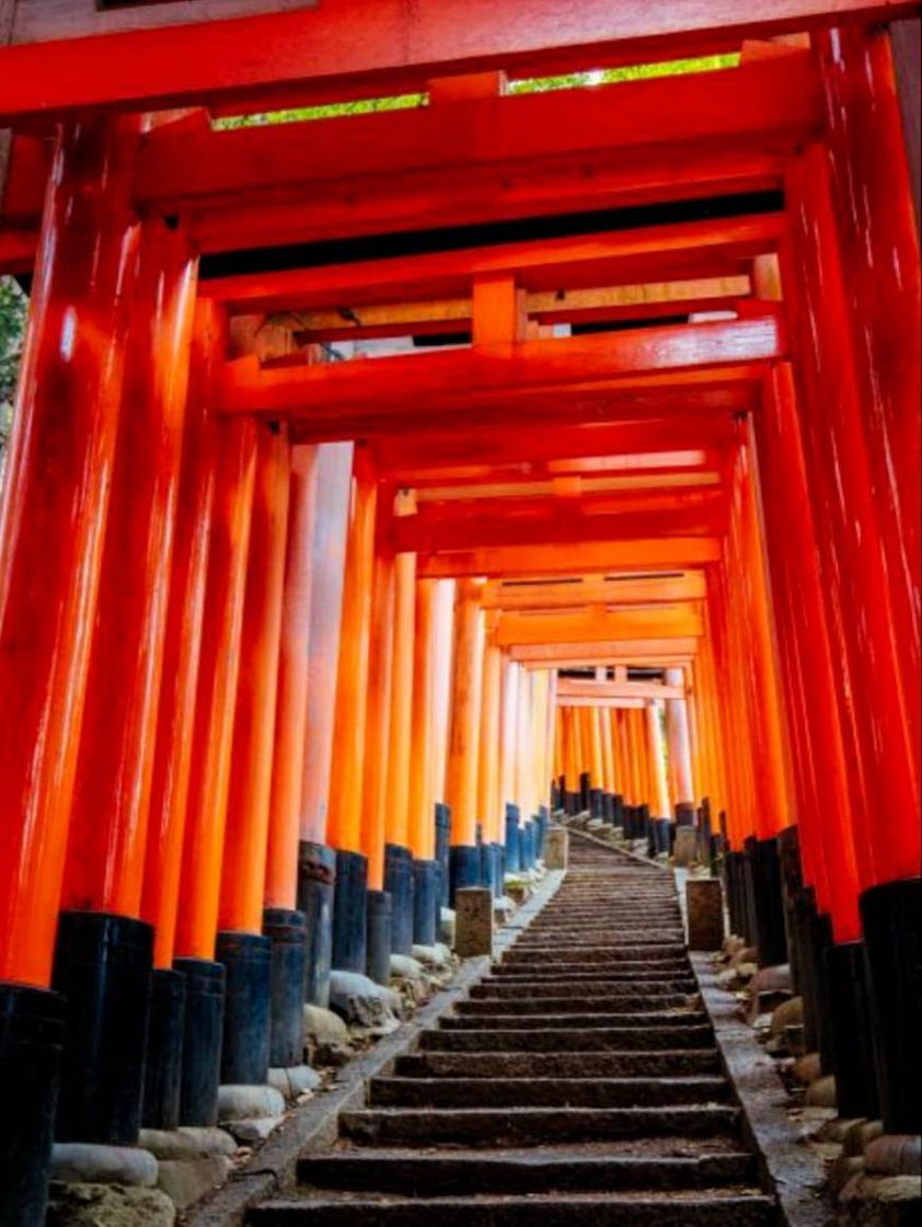 Place Fushimi Inari-taisha