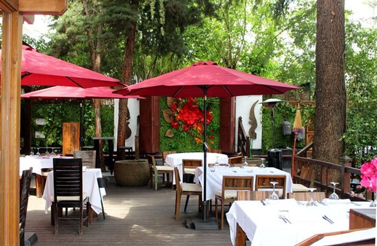 Restaurantes Thai Arturo Soria - Restaurants