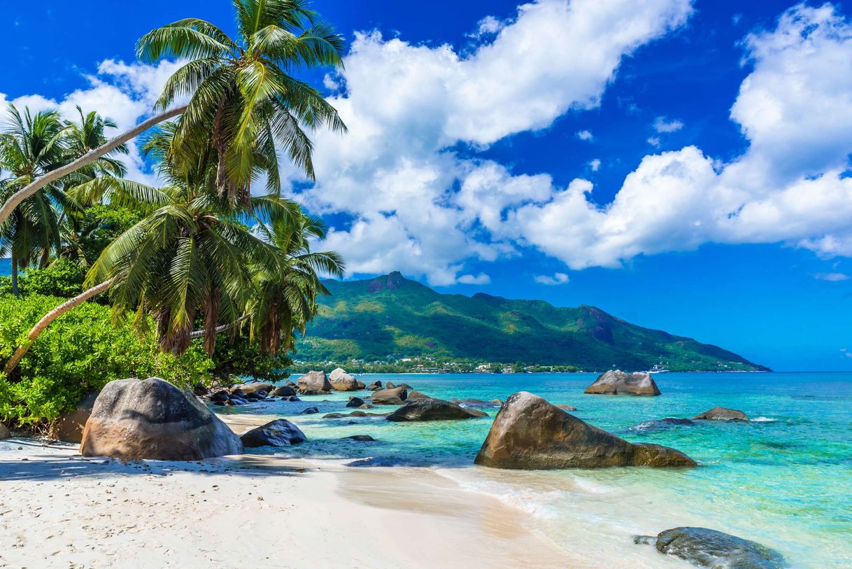 Place Beau Vallon Beach