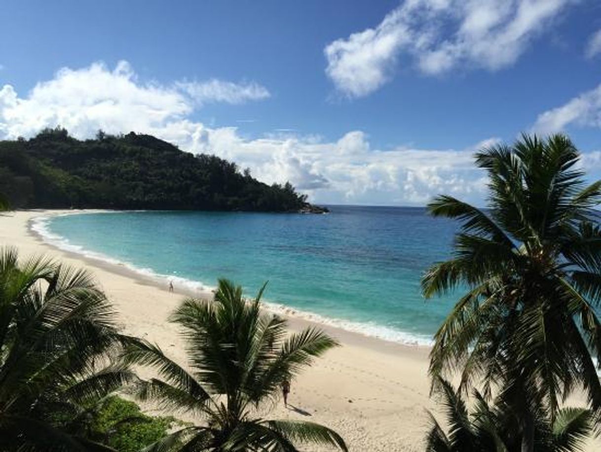 Place Anse Intendance Beach Wedding